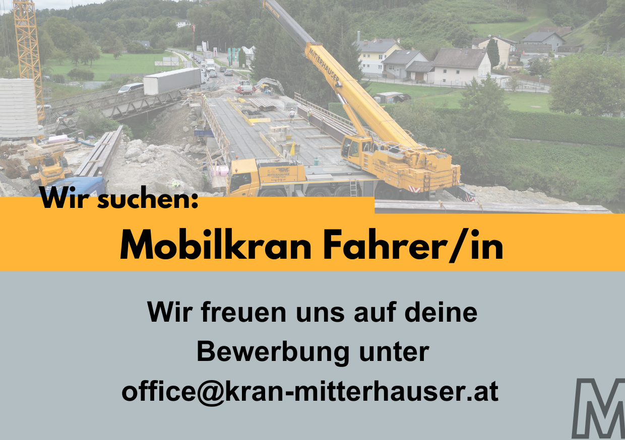 Galeriebild 1